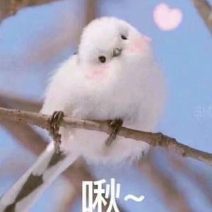 国产乱妇无码一区二区三区黑寡妇
